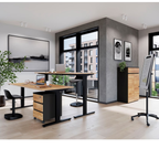 Modernes Büro mit Aktenschrank Lissabon 2-türig von Germania in Graphit und Navarra-Holz