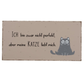 Boltze Schild Katze Molli - Fussmatte mit Spruch "Ich bin zwar nicht perfekt, aber meine Katze liebt mich"