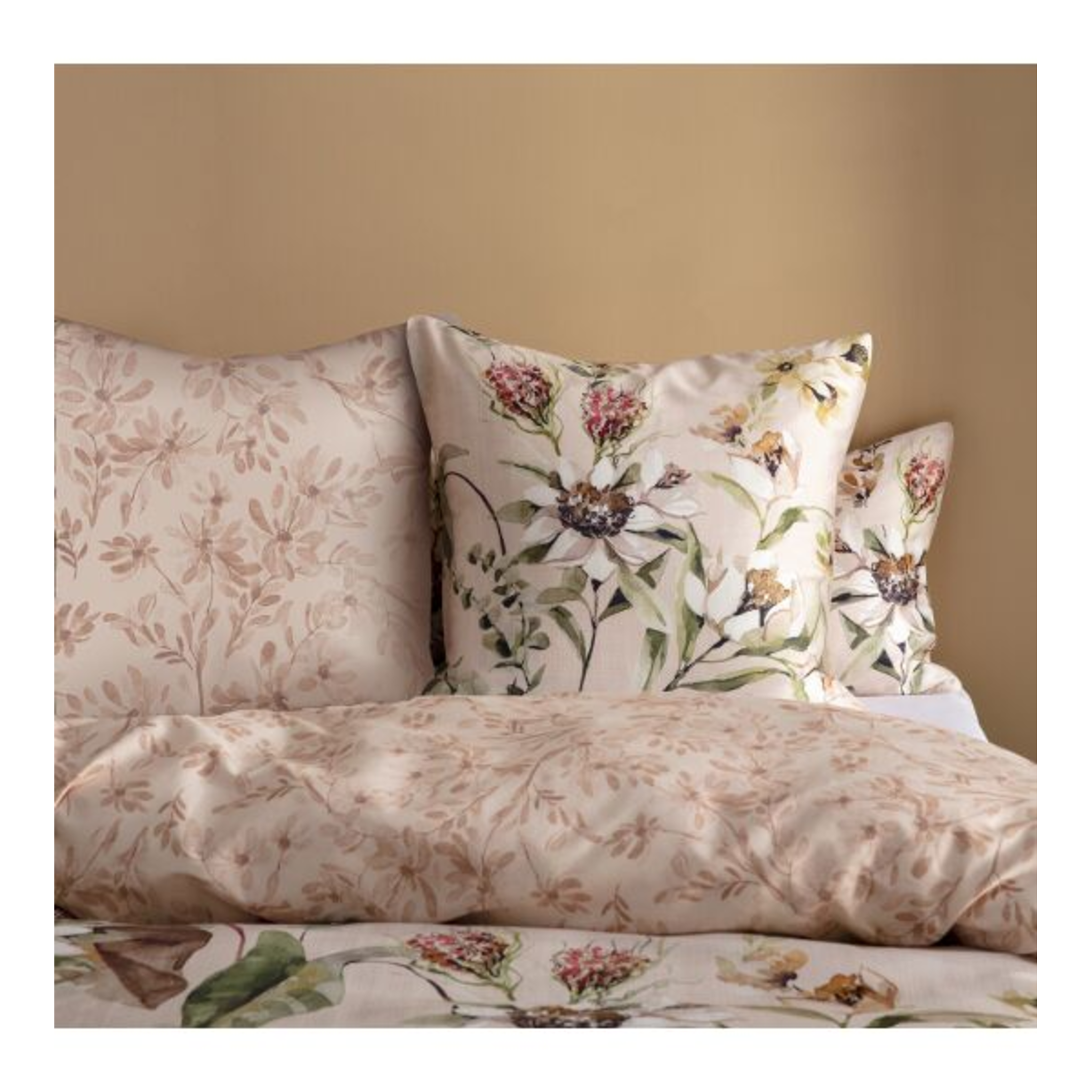 Ensemble Paloma coloré 160x210 / 65x100