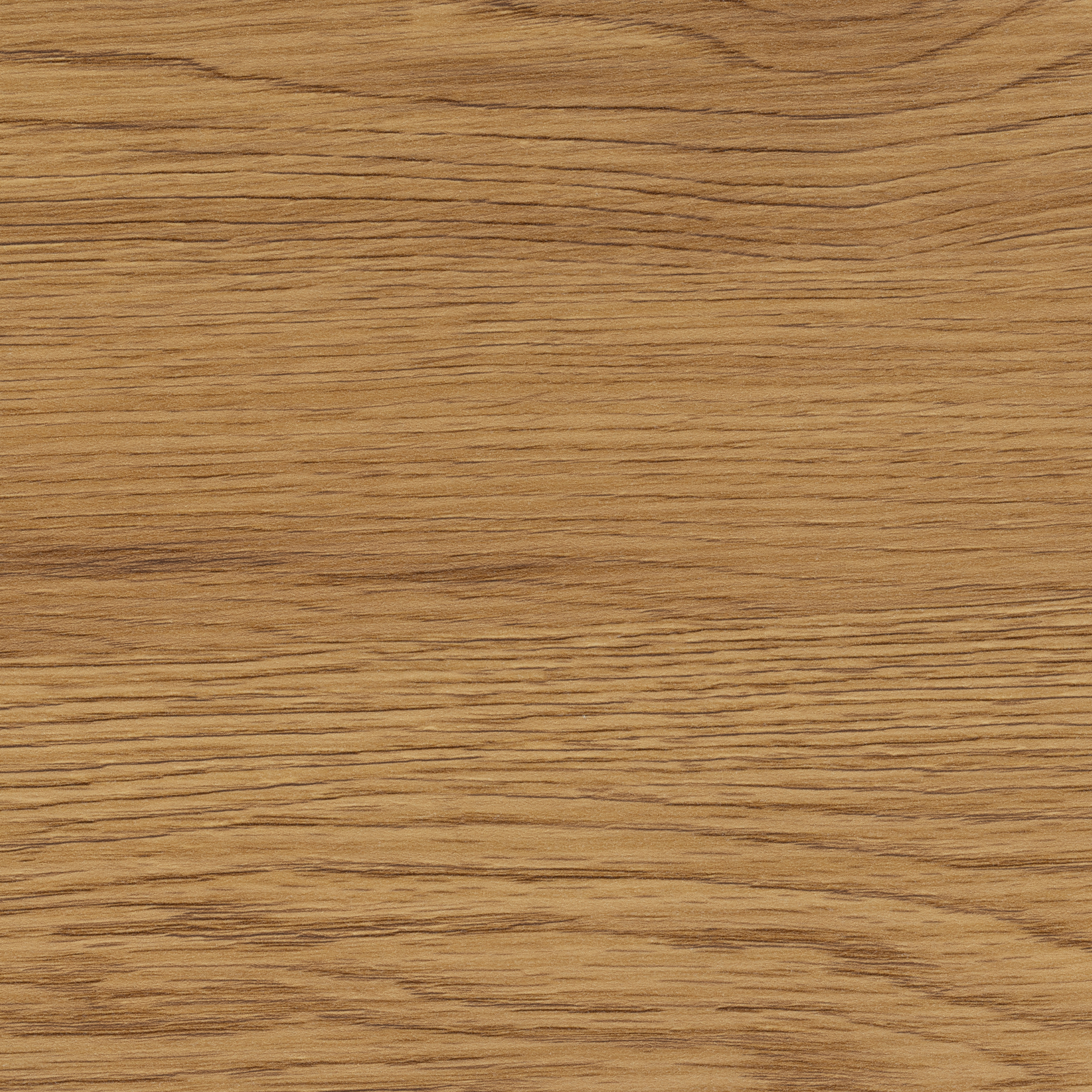 Table basse moderne en chêne sauvage avec structure en acier noir