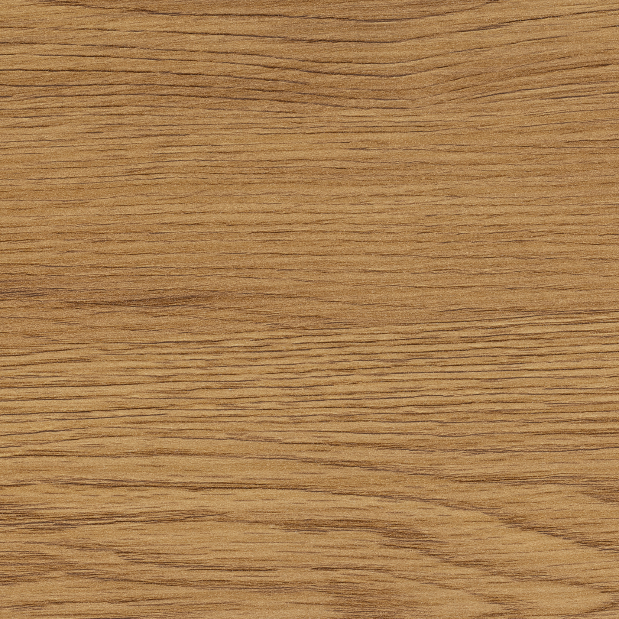 Étagère en chêne sauvage avec cadre en acier noir, tendance