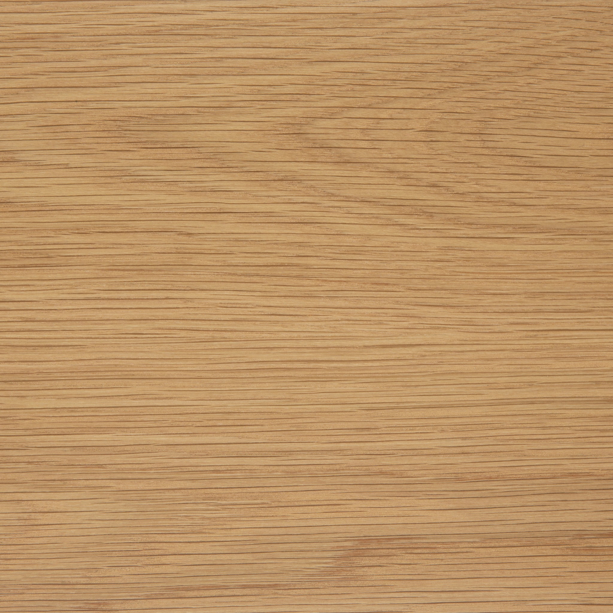 Chaise de salle à manger design en placage chêne avec une touche rétro