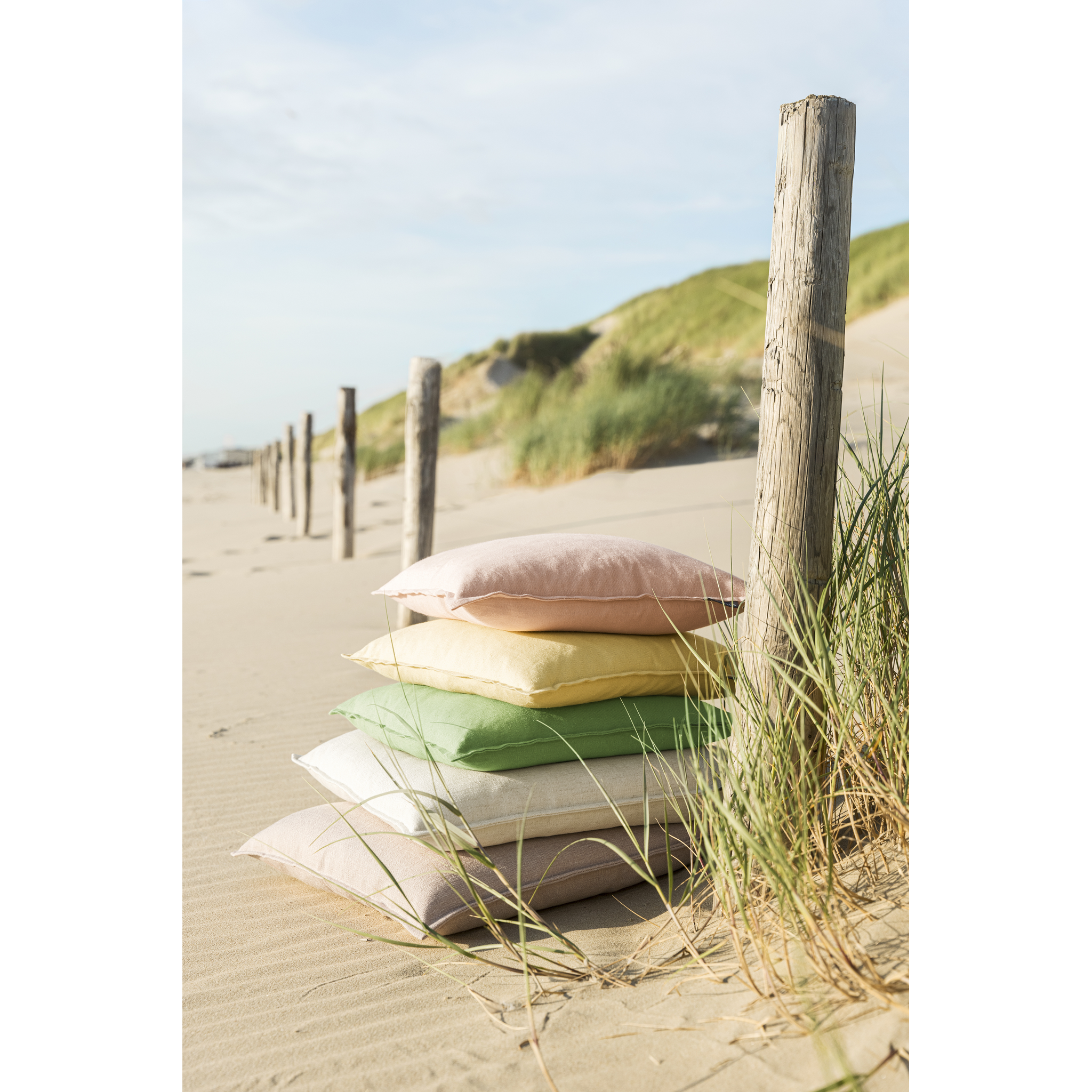 Coussin Lion 50x50 jade - 100% lin - pure nature