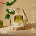 Bolsius CleanLight Duftglas nachfüllbar in Olivgrün mit brennender Kerze, Zitronenzweig und Limette