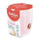 Bolsius True Scents Duftkerze im Glas, Magnolia-Duft, rosa, 25 Stunden Brenndauer, pflanzliches Wachs