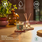 Bolsius Duftglas Magnolie mit 25h Brenndauer, ohne Palmöl, auf Holzuntersetzer, daneben Raumduft-Diffuser