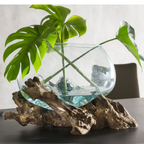Dekowurzel mit runder Glasschale und Monstera-Pflanze auf schwarzem Tisch – natürliches Wohnaccessoire