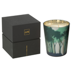 J-Line Duftkerze im grünen Waldmotiv-Glas mit goldenen Details und schwarzer Geschenkbox, 17cm