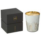 J-Line Duftkerze Noa in weiss-gold, 17cm, Glas mit Waldmotiv und schwarzer Geschenkbox