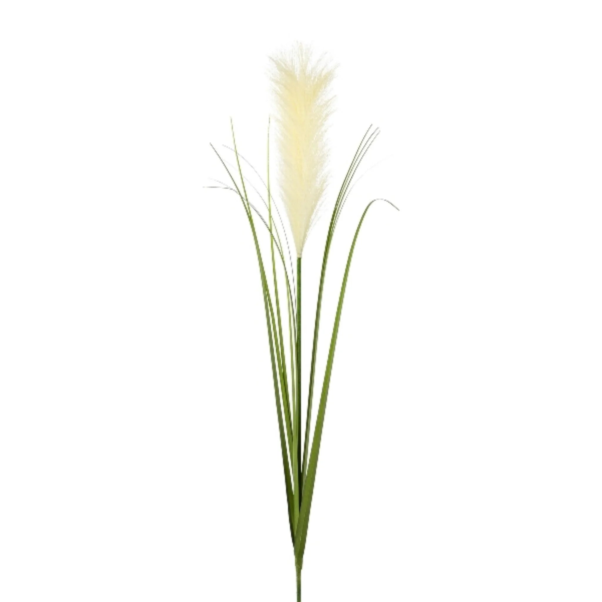 Gasper Pampasgras 78cm – Kunstpflanze mit cremefarbener Blüte und grünen Halmen