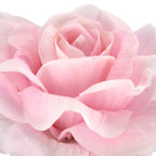 Kunstblume Rose 69cm - Realistische Deko-Rose Gasper | Schweizer Möbelshop