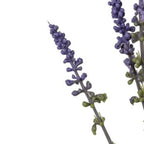 Kunstpflanze Lavendel Mixbund 38cm - Gasper Deko Lavendelzweige künstlich