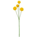 Kunstpflanze Craspendia gelb - künstliche Blume mit vier gelben Blütenköpfen auf grünem Stiel für Deko.