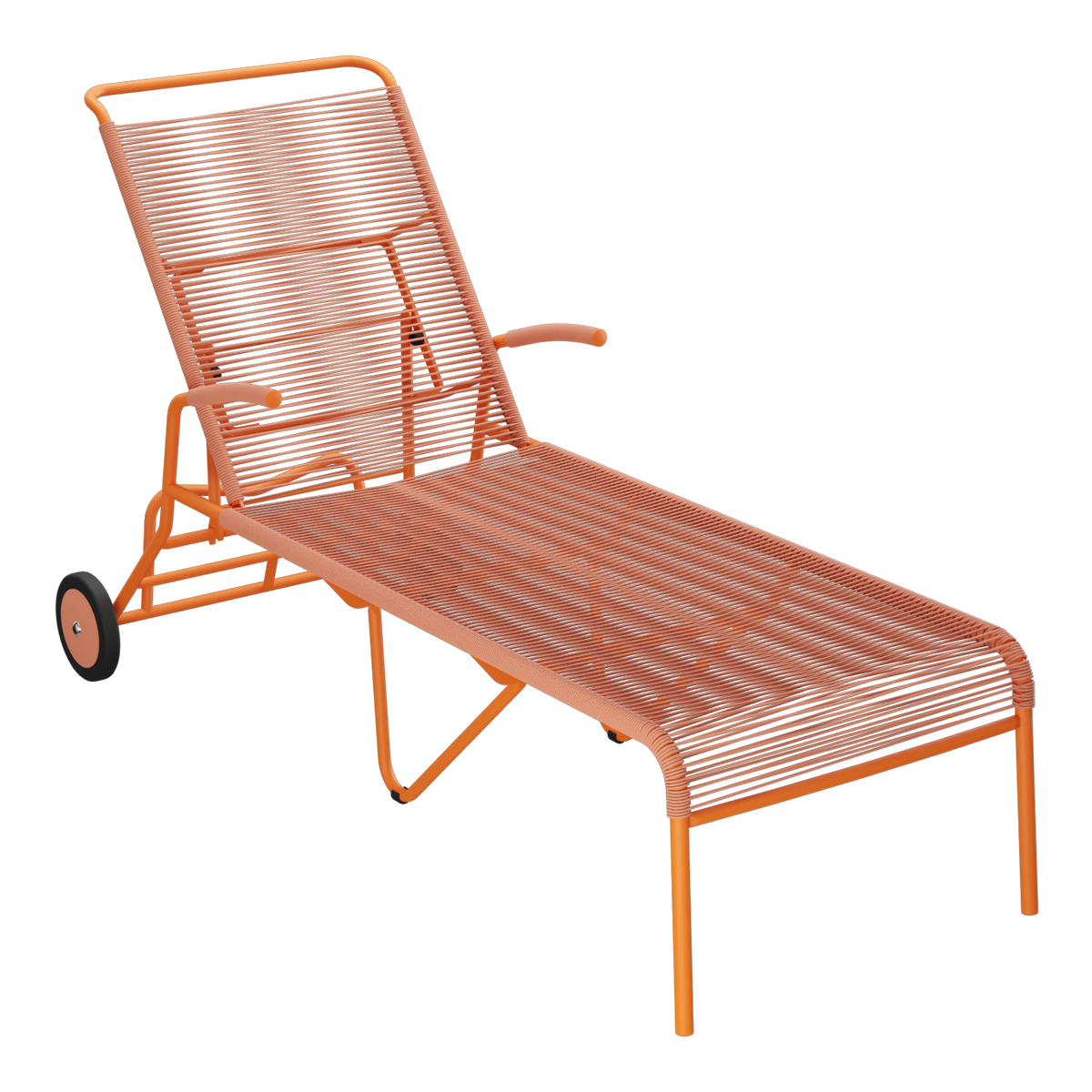 Terracotta / Orange
