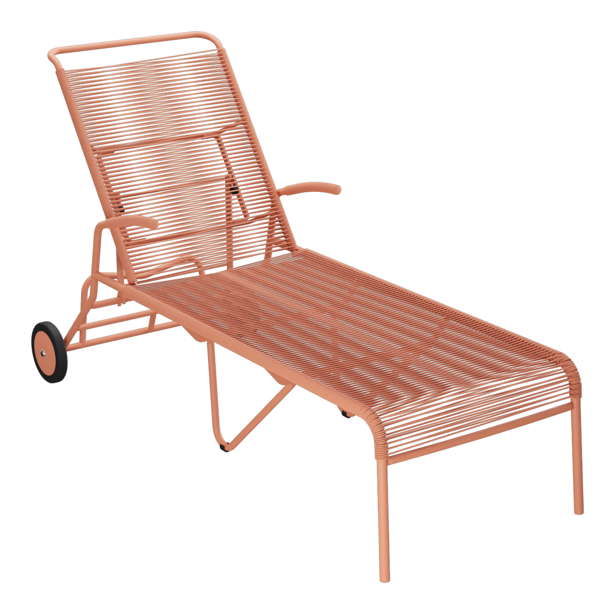 Terracotta / Terracotta