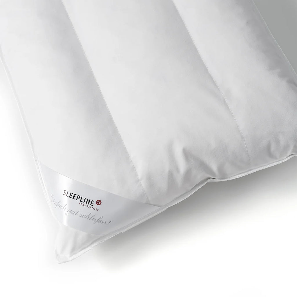 Coussin plat Aquasoft 65x100