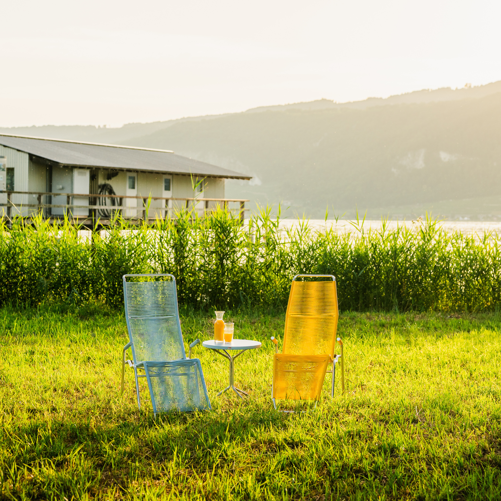 Spaghettiliege Brissago