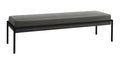 Hasena Pato Bank – Monet steel