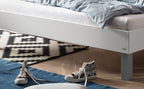 Hasena Rocco Bettgestell – 100 x 200 cm, 20 cm, Anthrazit