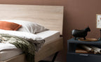 Hasena Gleva Bettgestell – 160 x 200 cm, 25 cm, Anthrazit