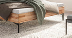 Hasena Donata Massivholzbett mit Polsterkopfteil – 160 x 200 cm, Fusshöhe 20 cm, Kernbuche natur, geölt, Pace light grey
