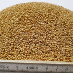 SLEEPLINE HIRSE + DINKEL – Füllmaterial