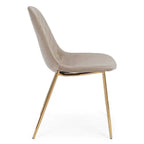 Stuhl Terry Samt taupe - moderner Esszimmerstuhl mit Samtbezug und Metallgestell in Gold
