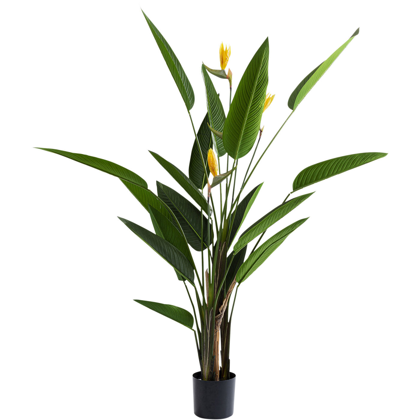 Plante décorative Paradise Flowers 190 cm