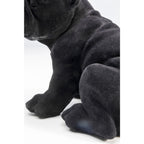 Schwarze Bulldogge Deko-Figur aus Kunstharz mit samtiger Oberfläche, Detailansicht der Pfoten und des Körpers