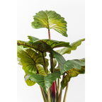 Große Kunstpflanze Alocasia mit dunkelgrünen Blättern und roten Stielen – dekorative Zimmerpflanze von KARE